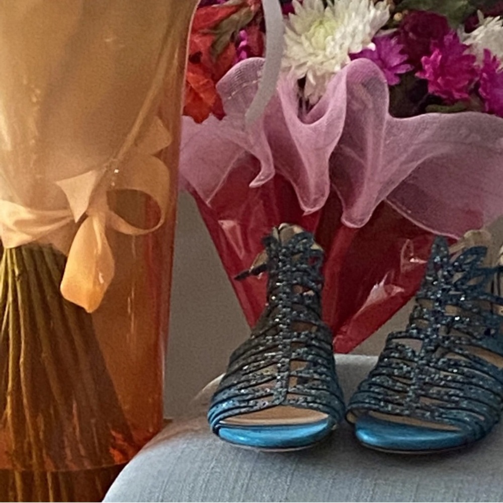 Beautiful Jimmy choo shoes, never worn
Perfect condition.  No box